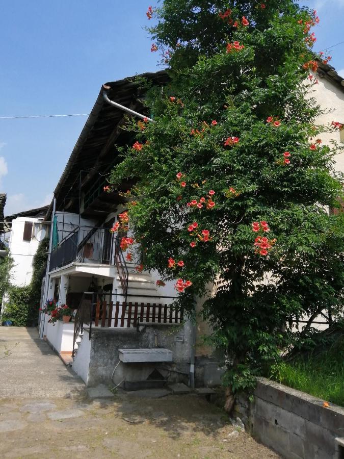 Peter Ranch 1 Apartment Vico Canavese Exterior photo